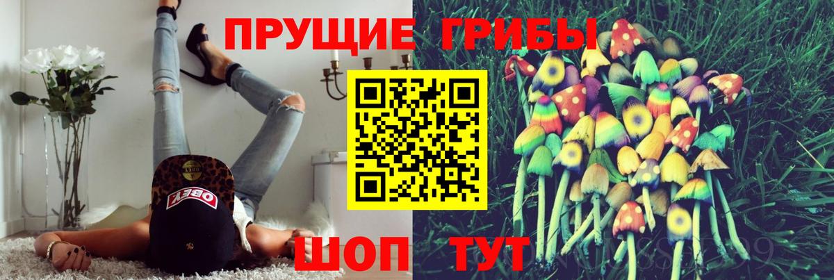 Галлюциногенные грибы Cubensis Сухой Лог