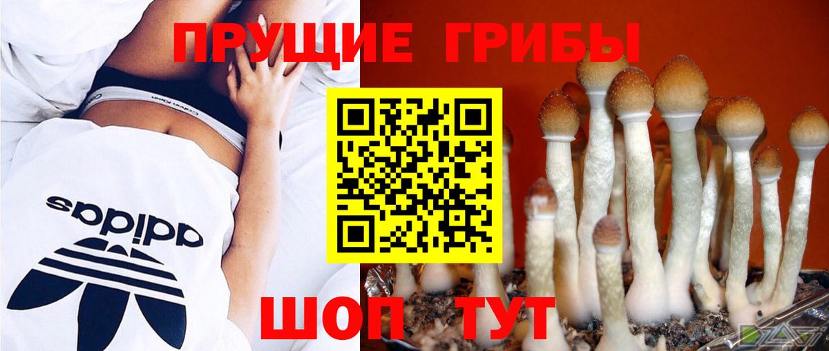 Галлюциногенные грибы GOLDEN TEACHER  Вход с VPN  Сухой Лог 